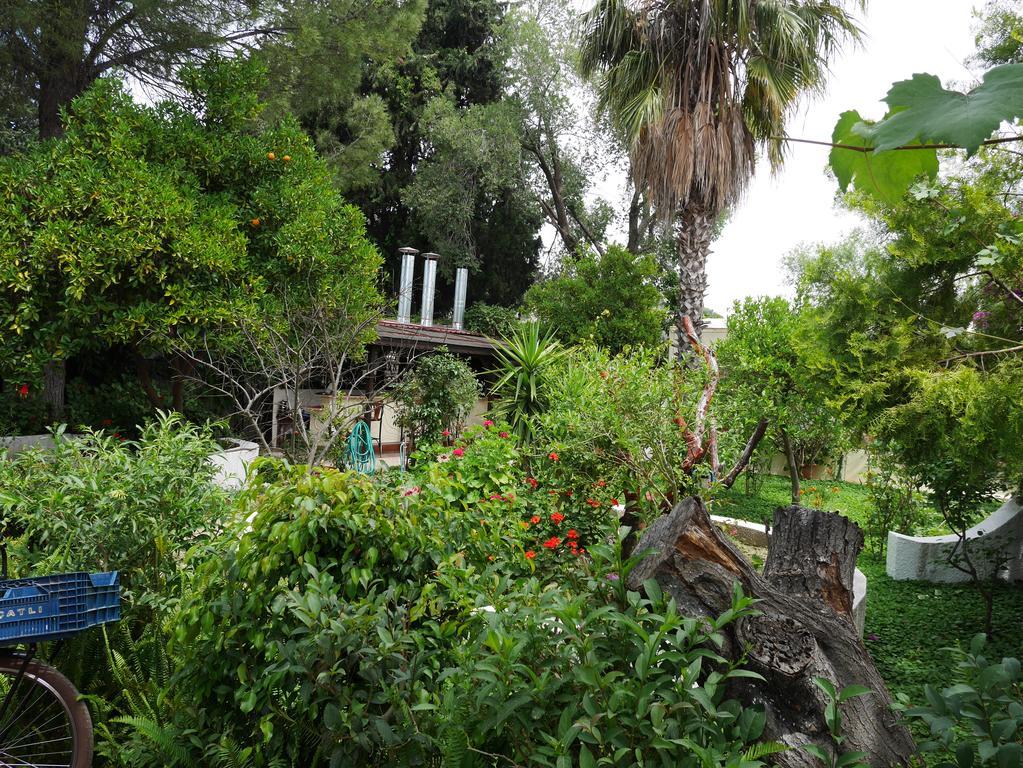 Longhouse Inn Hotel Dalyan Eksteriør billede
